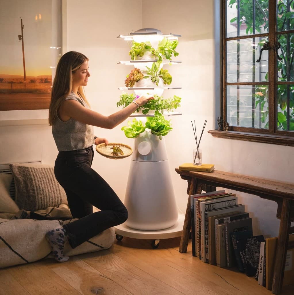 Person harvesting greens from a Lettuce Grow Farmstand indoors